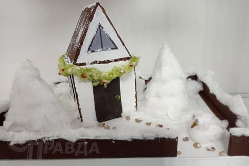 «Рождественская звёздочка 2023». Фото Ирины Малкиной и Натальи Бастрыкиной