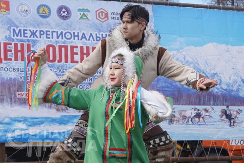 День оленевода 2023. Фото Екатерины Поздеевой