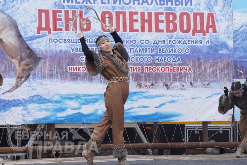 День оленевода 2023. Фото Екатерины Поздеевой