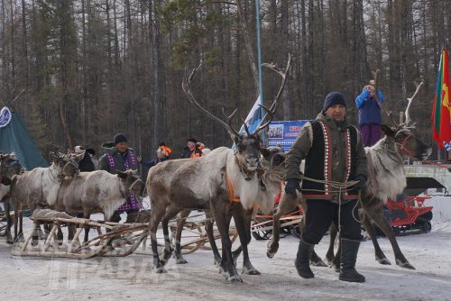 День оленевода 2023. Фото Екатерины Поздеевой
