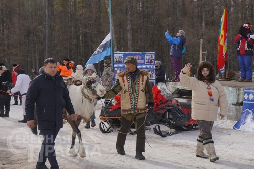 День оленевода 2023. Фото Екатерины Поздеевой