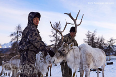 syulban-9