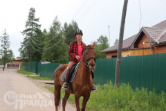 avdievskaya-burda-loshad-3