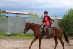 avdievskaya-burda-loshad-5