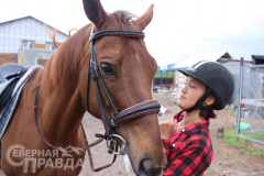 avdievskaya-burda-loshad-7
