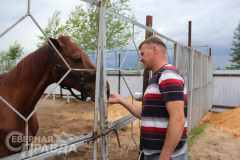 avdievskaya-burda-loshad-8