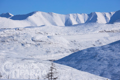 vahtovyj-poselok-8
