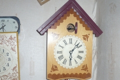 биб3