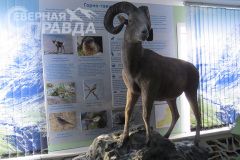 kalarskij-muzej-07