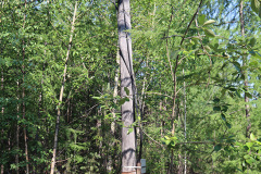 stolby1