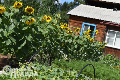 kuanda-bahvalova-3