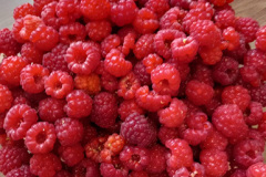 kuanda-kuslina-1