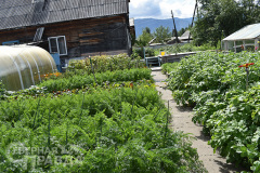 kuanda-makarevskaya-9