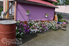 kuanda-zmanovskaya-7