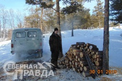 Дрова на оз. Аленушка, Чарские пески