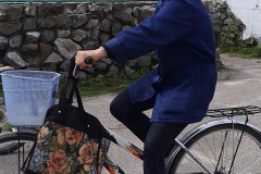 velosiped-35