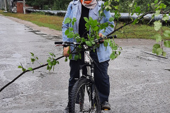 velosiped-48