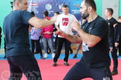 vstrecha-boks3