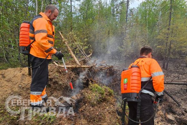 Пожар в чаре