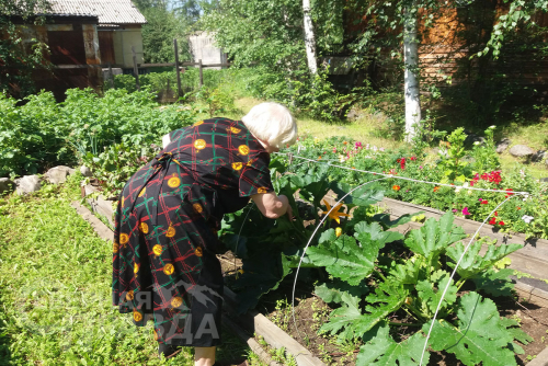Фото службы новостей «СП»