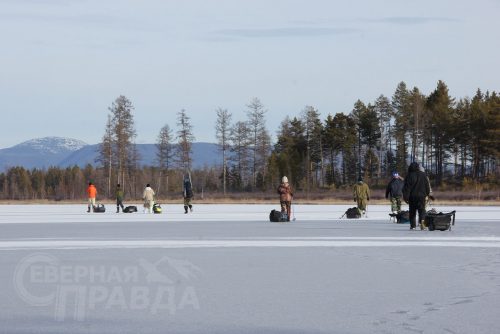 Турпоход учащихся, ноябрь 2022 г. Фото Екатерины Поздеевой