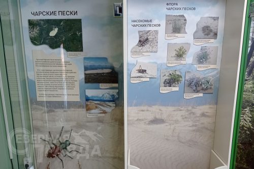 Каларский историко-краеведческий музей. Фото Натальи Бастрыкиной