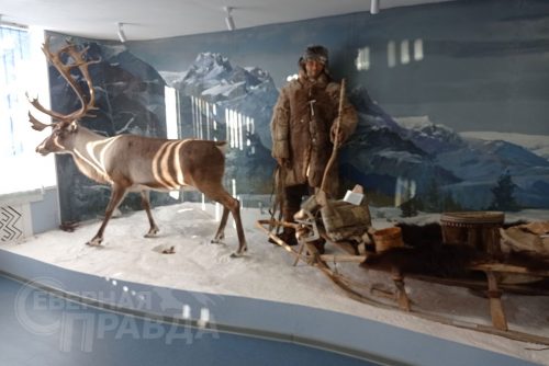 Каларский историко-краеведческий музей. Фото Натальи Бастрыкиной
