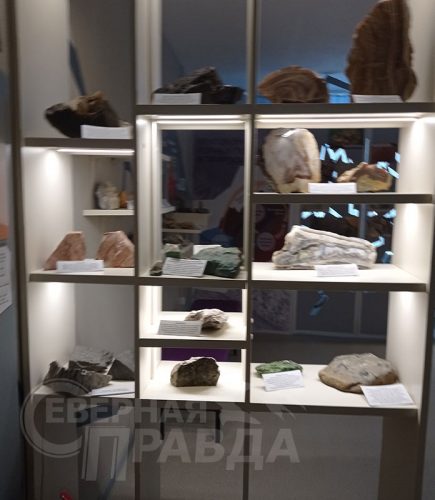 Каларский историко-краеведческий музей. Фото Натальи Бастрыкиной