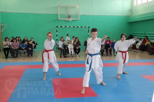 Турнир по карате «Северный пояс». Фото Ирины Малкиной
