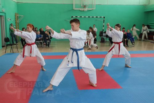 Турнир по карате «Северный пояс». Фото Ирины Малкиной