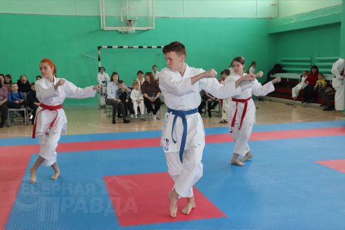Турнир по карате «Северный пояс». Фото Ирины Малкиной