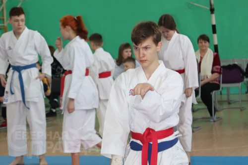 Турнир по карате «Северный пояс». Фото Ирины Малкиной