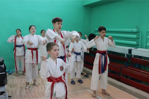 Турнир по карате «Северный пояс». Фото Ирины Малкиной