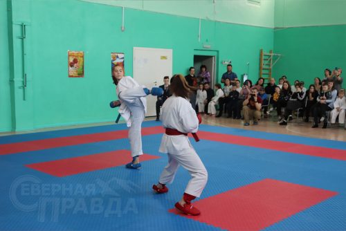 Турнир по карате «Северный пояс». Фото Ирины Малкиной