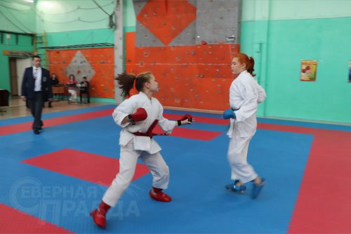 Турнир по карате «Северный пояс». Фото Ирины Малкиной