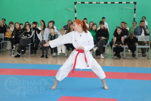 Турнир по карате «Северный пояс». Фото Ирины Малкиной