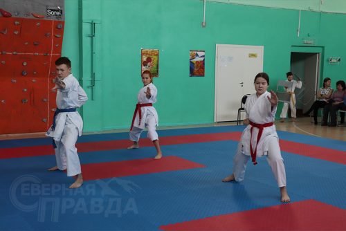 Турнир по карате «Северный пояс». Фото Ирины Малкиной