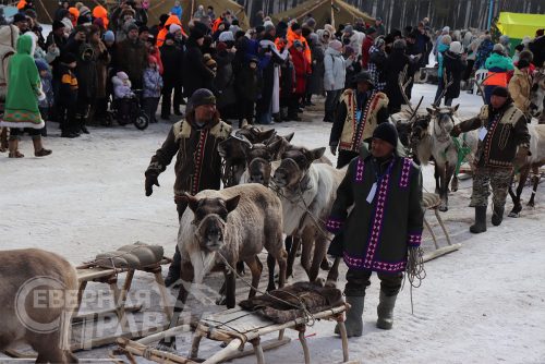 Фото службы новостей «СП»