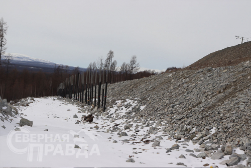 Фото службы новостей «СП»