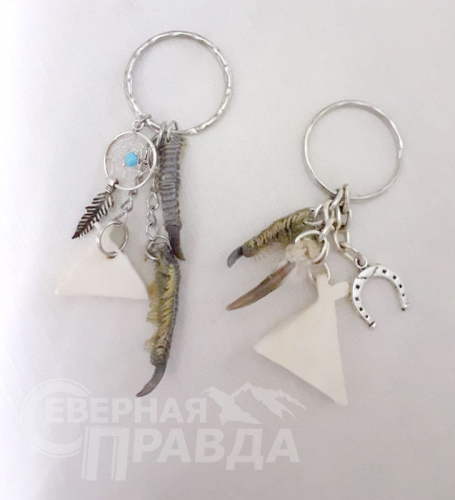 Фото Ильи Михина и из архива Ольги Барышниковой