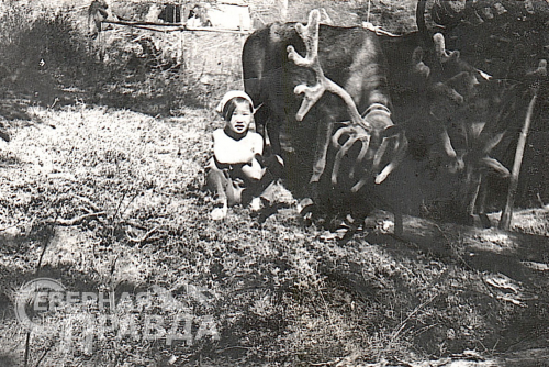 Максимова Инна Николаевна. Со своими оленями.1974 г. Фото из архива Ферко И.Н.