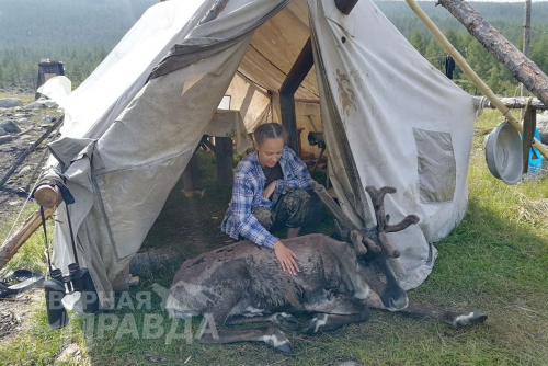 Фото из архива общины «Сюльбан» («Культура и традиции»)