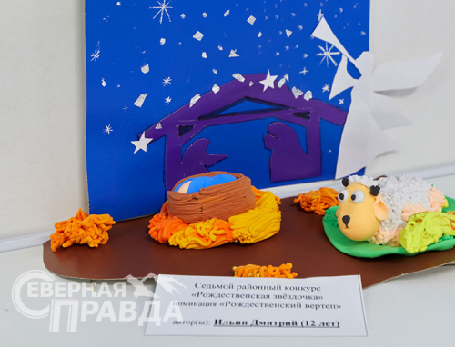 «Рождественская звёздочка 2024». Фото Александра Савченко