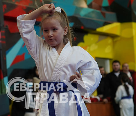 Соревнования по карате «Северный пояс», 3 февраля 2024 г. Фото Екатерины Поздеевой