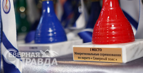 Соревнования по карате «Северный пояс», 3 февраля 2024 г. Фото Екатерины Поздеевой