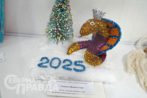 Итоги конкурса «Рождественская звёздочка», январь 2025 года. Фото Екатерины Поздеевой