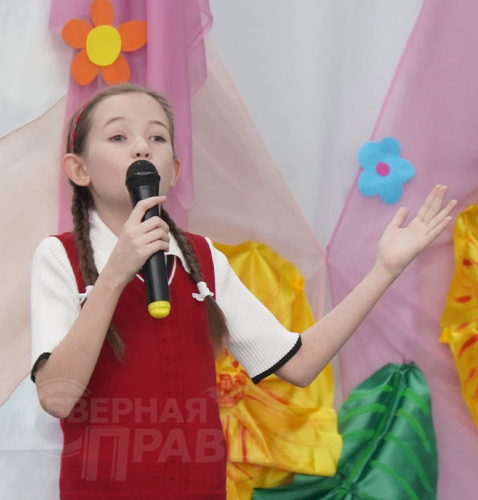 Конкурс чтецов «Мир, добро и красота» в Новочарской СОШ № 2. Фото Екатерины Поздеевой
