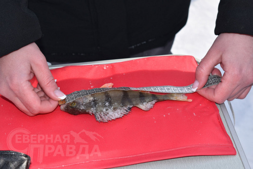 Зимняя рыбалка в Куанде. Фото Татьяны Шарковой