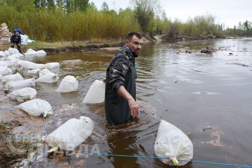 Выпуск мальков осетра в реку Чара, 2025 г. Фото службы новостей «СП»