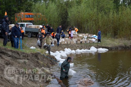 Выпуск мальков осетра в реку Чара, 2025 г. Фото службы новостей «СП»